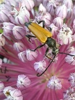 2023 Biodiversité